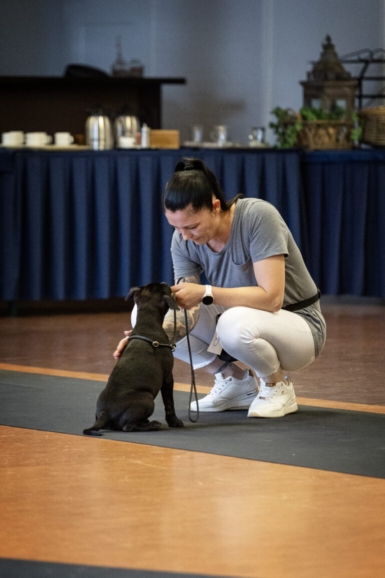 12072023Best Handler Ringtraining0013