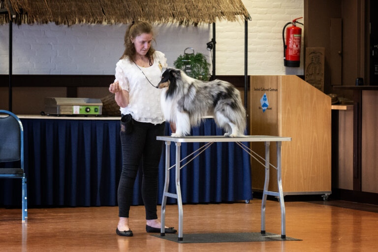 12072023Best Handler Ringtraining0034