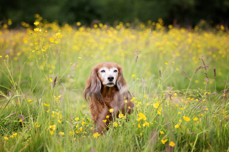21052025Maya0014 kopie